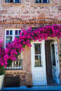 Ayvalik - Turkey, May 17, 2026, Historic Stone House Entry Decorated with Vibrant Pink Bougainvillea on Cunda Island