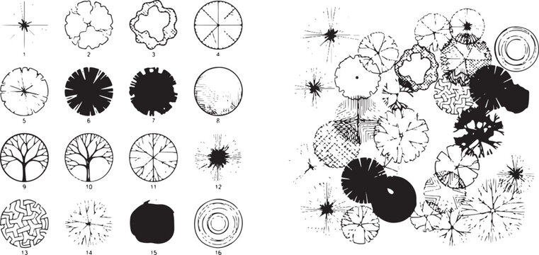 Set of black and white floral ornaments and decorative elements for design
