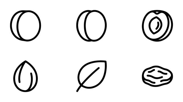 Apricot Icons Set, Fresh Fruit Vector Graphics, Dried Fruit Symbols, Healthy Food Line Art