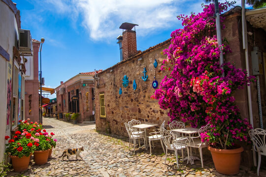 Ayvalik - Turkey, May 17, 2026, Charming Cunda Island Alley with Stone Houses Cat and Pink Bougainvillea Flowers