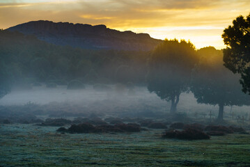 Fototapeta premium Haze in morning over Sad Hill Cemetery in Burgos, Spain. Place to visit, travel destination.