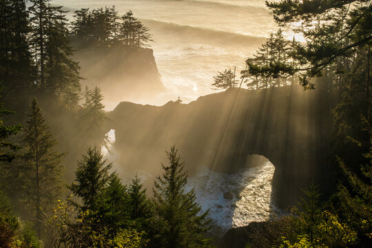 Natural Bridge and Sea Caves in Brookings, Oregon, USA