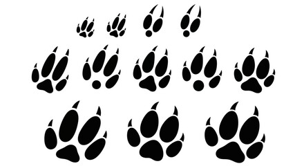 Fototapeta premium Black bear paw prints, animal footprints, wildlife icons, vector set of 16