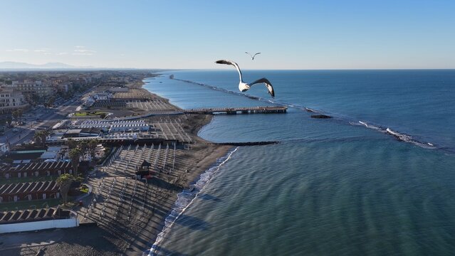 Gabbiano in primopiano sullo sfondo del Lungomare del Lido di Ostia, Roma, Italia.
Vista aerea panoramica della costa di Ostia con gli stabilimenti balneari.