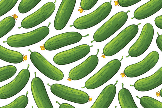 Seamless pattern of fresh green cucumbers with yellowflowers on white. Hand dran vector illustration of oganic farm vegetables for itchen decor, textile prin, wallpaper and food packaing.