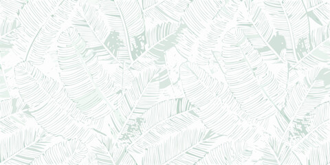 seamless tropical banana leaf pattern with delicate mint green line work on white background © Shamal