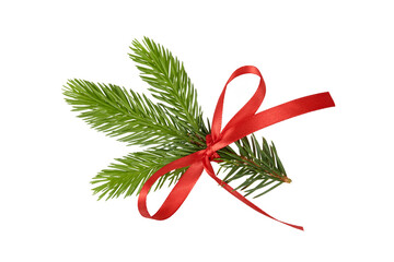 christmas tree branch decoration with red ribbon bow isolated on white or transparent png © David Kreuzberg