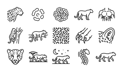 Leopard Icons Set, Wild Cat Vector Graphics, Safari Animal Illustrations, Nature Elements © Emon
