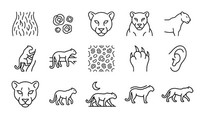Panther Icon Set: Wild Cat Illustrations, Animal Silhouettes, Nature Elements, Vector Graphics © Emon
