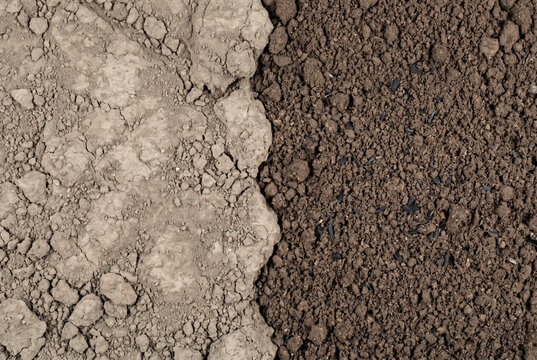 Split frame comparison of degraded dry soil versus 
biochar-amended fertile soil with visible black carbon 
fragments, sustainable soil improvement and carbon 
sequestration concept