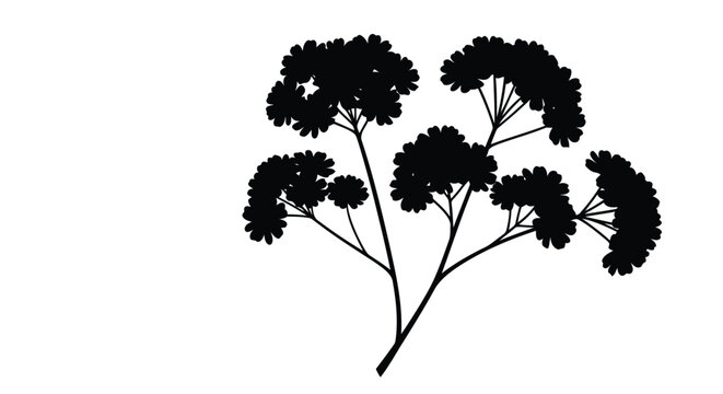 Black silhouette of blooming thistle flowers