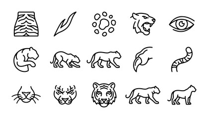 Tiger Icons Set, Wild Cat Vector Graphics, Feline Animal Illustrations, Safari Wildlife Collection © ShahinAl