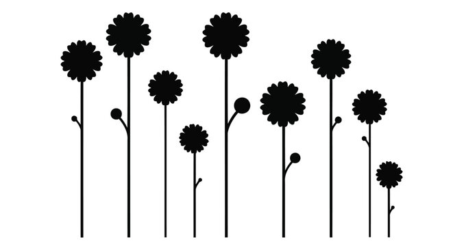 Black silhouettes of dandelions on white background