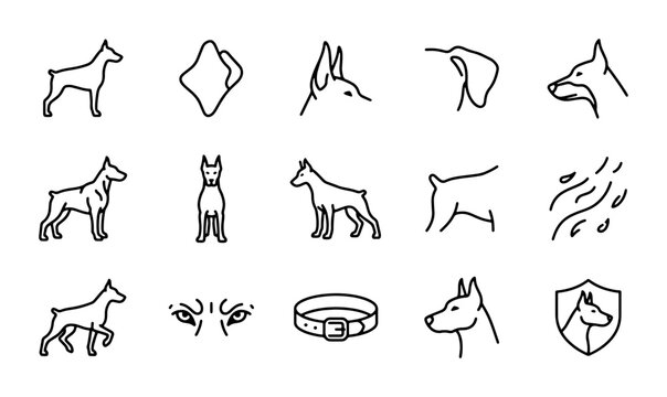 Doberman Dog Icon Set: Breed Silhouette, Head, Collar, Shield, Vector Graphics