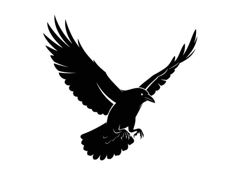 Black silhouette of a bird in flight with wings spread wide, clawed talons visible