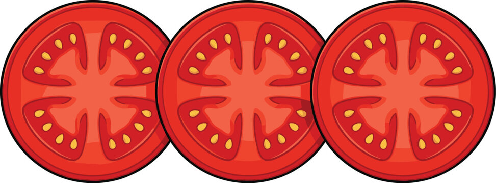 Tomato slice collection with fresh red tomato cross sections food vector illustration set