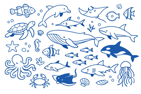 Blue Line Art Illustration f Diverse Marine Life and cean Creatures Including Wale, Dolphin, Shark, Sea Trtle, Octopus, Jellyfish, rab, Seahorse, and VariousFish on a White Background
