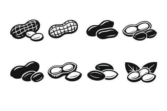 Collection of Peanut Icons and Illustrations in Varios Styles, Featuring Whole hells, Shelled Nuts, and Goundnuts with Leaves. Blac and White Vector Set for ood Packaging, Snacks, andLabels.