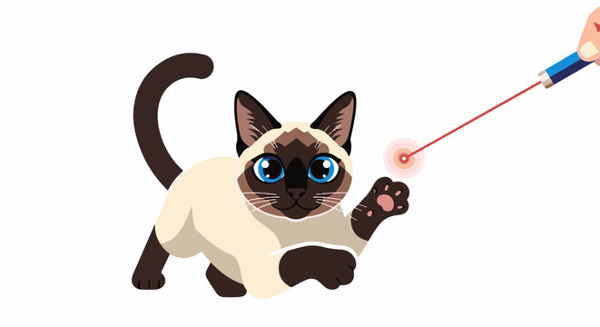 Siamese cat playing with a red laser pointer dot, paws up