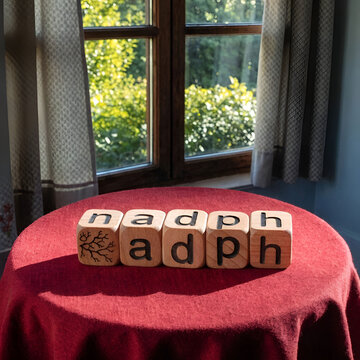 the word nadph is made of wooden cubes on a red table