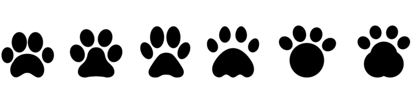 Paw icon vector set. Collection of different animal paw. Illustration sign or symbol.