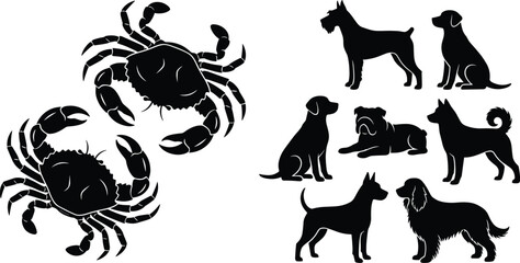 Vector silhouette collection featuring realistic marine crabs and various domestic dog breeds isolated on a white background © Mst Shamima