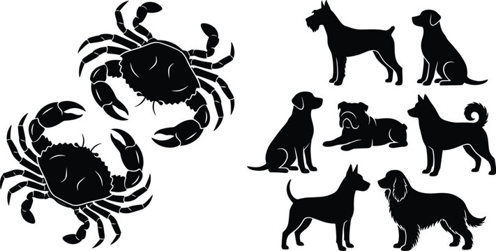 Vector silhouette collection featuring realistic marine crabs and various domestic dog breeds isolated on a white background
