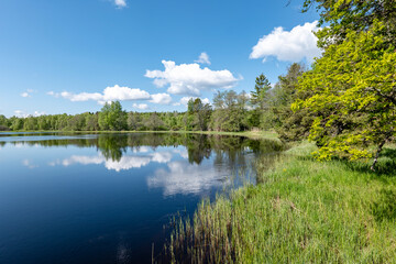 Fototapeta premium River area in spring. Scenic view of salmon river landscape in Farnebofjarden national park.