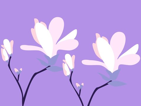 Stylized illustration features magnolia flowers (Magnolia spp. ) with large, pale pink petals on slender dark stems. The background is a solid violet color, creating a contrast with the soft pastel 