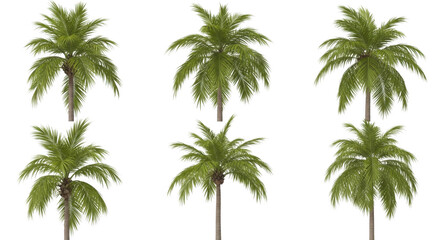 Fototapeta premium Six individual green palm trees with textured fronds and brown trunks arranged in two rows against a solid black background