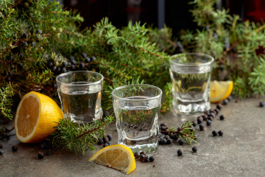 Juniper berry gin with lemon slices.