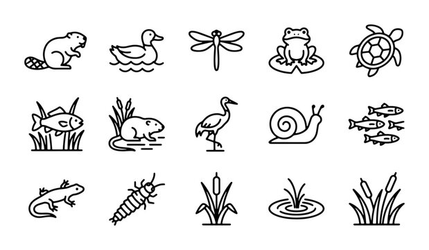 Wetland Wildlife Icons Set, Pond Creatures Vector Graphics, Nature Ecosystem Elements