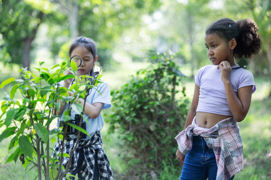 Multicultural Children Exploring Bushes and Discovering Nature During Eco Education Activity