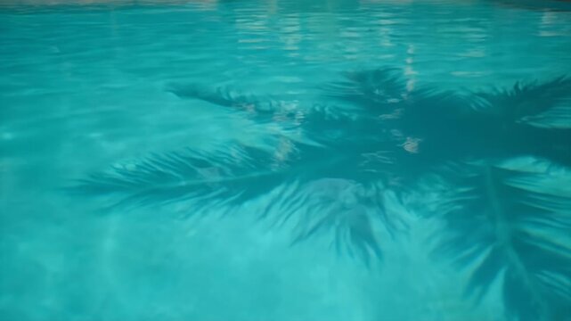 Dark palm tree shadow cast on the surface of clear turquoise swimming pool water now