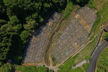 Naklejka premium Aerial drone photo of solar panel arrays surrounded by forest in Takahashi, Okayama, Japan