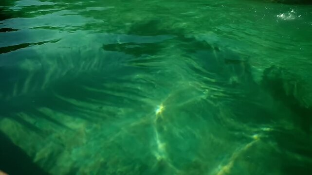 Vibrant green water surface with rippling waves and palm leaf shadows in sunlight