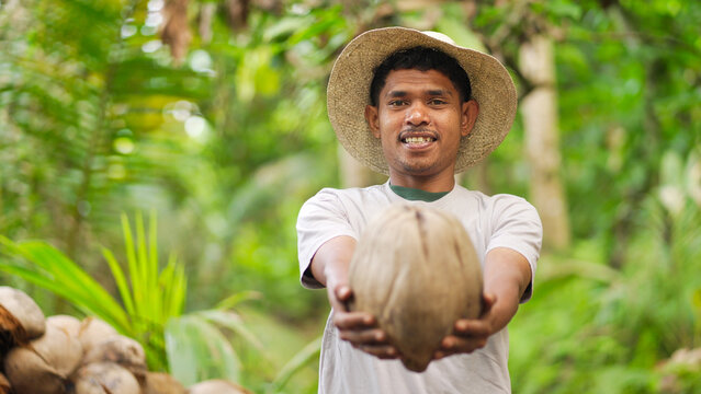 Portrait of smiling young indonesian farmer with harvested coconut for copra on farm on flores island, indonesia, southeast asia, straw hat