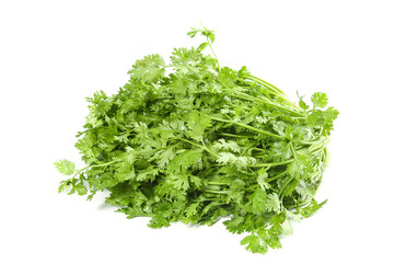 Obraz premium Fresh Green Parsley Bunch Isolated on White Background - Culinary Herb Still Life Studio Photography