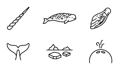 Narwhal Icons, Arctic Wildlife Vector Graphics, Ocean Mammal Line Art Collection © Maruf
