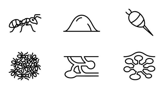 Ant Colony Icons, Insect Life Cycle Vector Graphics, Small Creature Set, Nature Elements