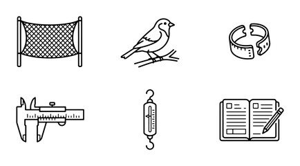 Ornithology Science Icons: Bird, Net, Caliper, Scale, Notebook, Band © Hanif