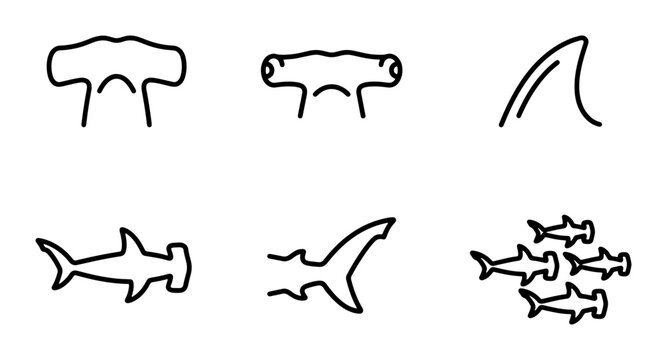 Hammerhead Shark Icons, Vector Set: Marine Life, Ocean Predators, Aquatic Animals, Simple Outline Graphics