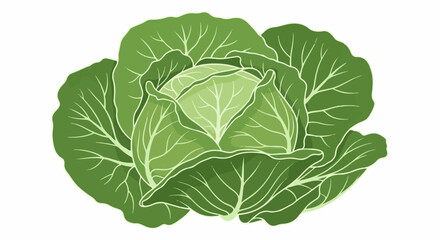 Fototapeta premium Close-up illustration of a vibrant green cabbage with layered leaves and visible veins