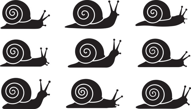 Nine black snails crawling on a flat surface