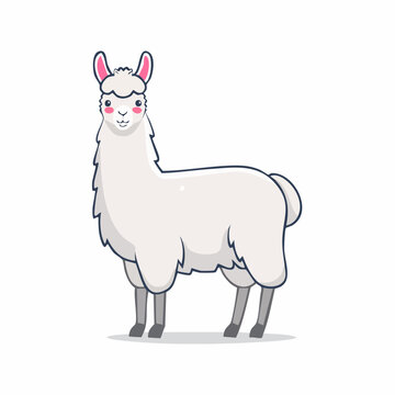 Cute cartoon llama illustration