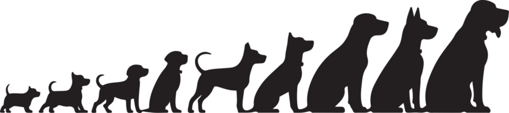 Size comparison of dog breeds silhouette