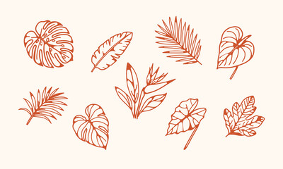 Tropical Leaves Collection. Tropical leaf collection featuring monstera, palm and exotic jungle foliage in elegant outline style for botanical branding, summer decor and nature themed projects © Liudmila