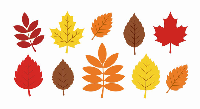 A collection of stylized autumn leaves in various fall colors and shapes