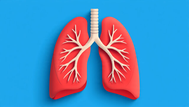Colorful 3D Illustration of Human Lungs with Trachea and Bronchi on Blue Background