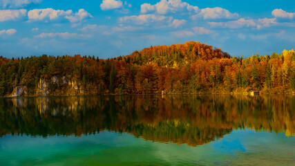 Obraz premium Panoramic view of sunset scene with the Alpsee lake in Autumn trees season and Bavaria Alps in background